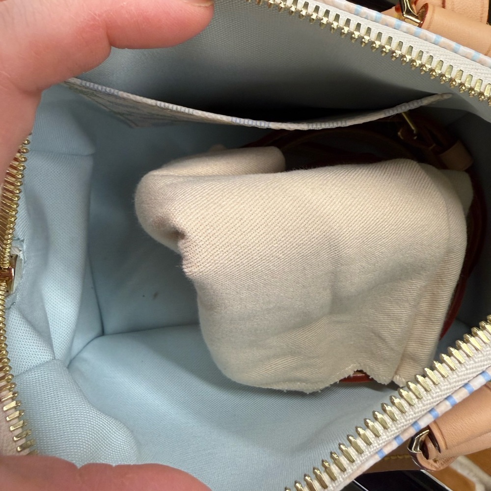 Louis Vuitton Cream, Tan, and Green Speedy 20 Bag - Picture 6 of 16